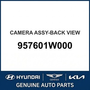 Rio Nouvelles pièces et accessoires pour voitures et camions 957601W000 - Product Image 1