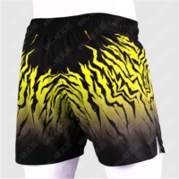 Pantalones Cortos de MMA Blaze Fight Wear de Doble Capa 2 en 1, Ligeros, de Secado Rápido, con Logotipos y Diseños Personalizados, Hechos en Pakistán