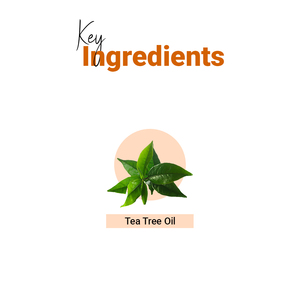 Loción Reductora de Poros de Calidad Natural con Aloe Vera para una Suavidad Prolongada de la Piel, Disponible a un Precio Accesible - Product Image 4