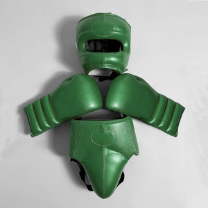 Equipo de Boxeo Personalizado de Fábrica: Guantes, Protector de Cabeza, Protector Inguinal, Equipo OEM, Guantes de MMA, Muay Thai, Protector de Tibia - Product Image 5