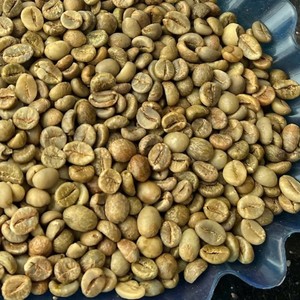 Grains de café frais Robusta, traitement naturel, taille 18, Vietnam, grains de café vert de ferme - Product Image 3