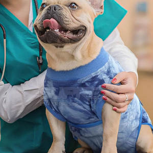 Ropa Cómoda para Mascotas Postoperatoria, Tejido Ligero y Transpirable, Uso Diario 2026 - Product Image 2