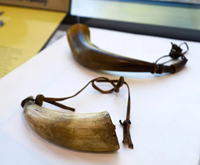 Corne de buffle 100% artisanale, écologique, de haute qualité, polie naturellement, traditionnelle, moderne, portable, sonore