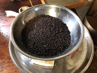 Vietnamese zwarte peper 500G/L 550G/L 570G/L 580G/L 600G/L 5MM MC Gereinigd Droog Rauw Pittig 50kg zakken AD Gedroogde Chili Kruiden Export ANNA