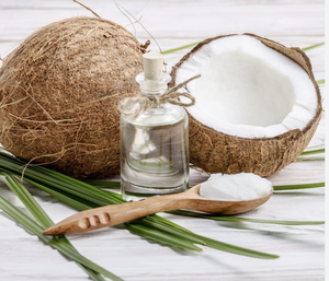 น้ำมันมะพร้าวบริสุทธิ์ 100% เกรดพรีเมียม ฟรักชันเนชั่น 16 ออนซ์ วัตถุดิบน้ำมันหอมระเหยคุณภาพดีที่สุด สำหรับเป็นตัวพาและฐาน ผลิตจากเมล็ดมะพร้าว ประเทศไทย ช่วยเพิ่มความชุ่มชื้น - Product Image 3