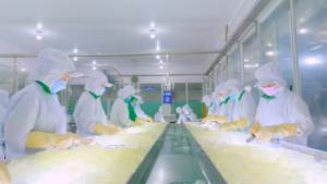 Bebida de hidratación con lichi 16,9 FlOz VINUT Iones Vitaminas Minerales Refrescante - Product Image 5