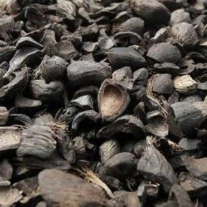 Venta al por mayor de cáscara de palmiste 100% pura, triple lavada, en fardos de 20 kg, precio competitivo, material a granel para lecho de animales. - Product Image 5