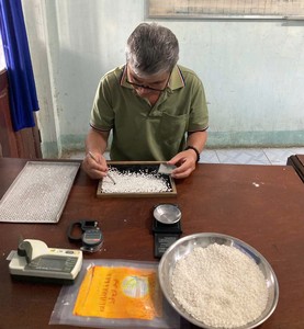 ผู้ส่งออกข้าวเหนียวเวียดนามขายส่ง ข้าวเหนียวขาวสะอาด คุณภาพการปรุงสุกสม่ำเสมอ - Product Image 4