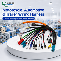 Kabel Kustom Pabrik OEM untuk Mesin Pertanian, Motor Skuter Listrik, Lift, Sepeda Motor, Mobil, dan Kabel Harness Trailer