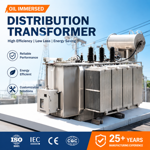 Transformateur de puissance triphasé immergé dans l'huile S11 11kV 415V 50 63 160 200 400 500 630 1000 1250 1500 2000 KVA <span class=keywords><strong>50Hz</strong></span> - Product Image 1
