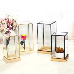 Terrarium décoratif d'intérieur en métal et verre, support de plantes géométrique moderne, accent décoratif pour la maison - Product Image 3