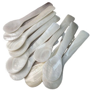 Handmade Luxury Mother of Pearl Shell Spoon for Caviar Serving Seafood Appetizers Jam Dessert Cheap Price for Hotels Restaurants - Product Image 1