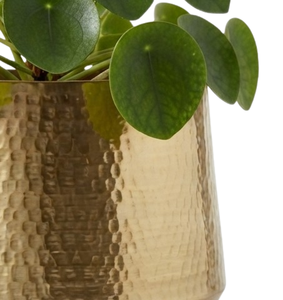Pot de fleurs décoratif de taille moyenne en finition dorée, pour plantes de jardin, pots à fleurs et jardinières en métal, intérieur et extérieur - Product Image 4