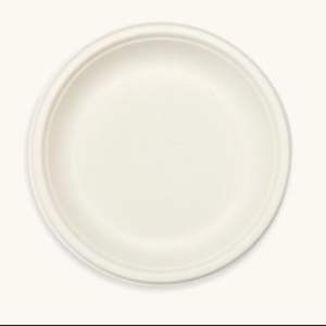 Fournisseur direct d'usine, assiette jetable ronde en bagasse de 9 pouces pour la livraison de nourriture et les repas en plein air, disponible au prix d'exportation - Product Image 3