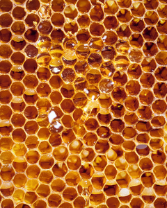 Emballage personnalisé en verre pour miel avec impression d'étiquettes professionnelles pour les marques alimentaires haut de gamme et les marchés de détail - Product Image 6