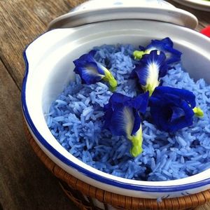 Vietnamese Butterfly Pea Flower <b>Tea</b> Blend with Lotus Seeds for Colorful Drinks, Desserts and Herbal Wellness Enjoyment - Product Image 3