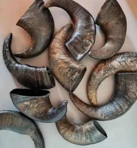 Durable Buffalo Horn Dog Chew – 100% Natural Organic Eco-Friendly Handmade Pet Chew Toy for Strong Dogs - Product Image 6