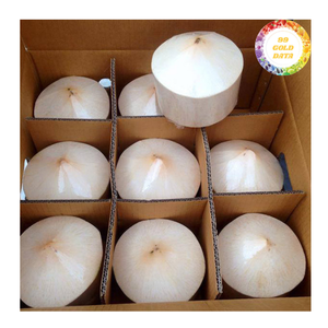 Mejor Precio, Coco Fresco Joven, Listo para Beber, Tapa Fácil de Abrir, Origen Vietnam, Venta Directa de Fábrica - Product Image 2