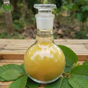 สินค้าขายดี คุณภาพพรีเมียมสูง สารสกัดสมุนไพรไทย MIT 80% ผงสกัดจากใบ  สารสกัดแบบใช้ตัวทำละลาย เกรดยา บรรจุภัณฑ์สุญญากาศ ปลูกจากพืชธรรมชาติ - Product Image 2