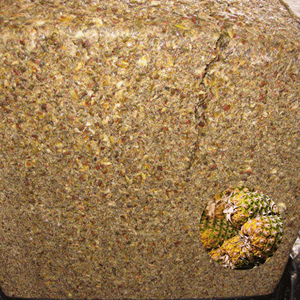 Piel de Piña Ensilada de Primera Calidad, Precio Competitivo, Producto Más Vendido, Envasada en Bolsa de PP, Fábrica en Vietnam - Product Image 1