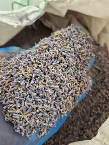 Flores de Lavanda Secas de Alta Calidad, Flores Botánicas Naturales Enteras, Ingredientes Herbales Probados en Laboratorio para Aromaterapia - Product Image 1