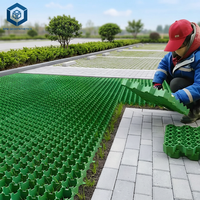 Pavés en plastique perméables en nid d'abeille pour la protection de l'environnement, utilisés pour les parkings et les jardins en Tanzanie