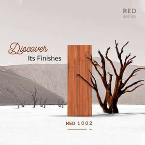 Azulejos de Porcelana Vitrificada con Acabado Digital de Aspecto Natural, 20X120CM, Losetas Largas para un Estilo Elegante en Interiores - Product Image 2