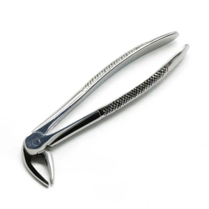 Juego de Pinzas Dentales para Adultos en Oferta, Juego de Pinzas de Extracción Dental, 10 Piezas/Caja, Instrumento de Acero Inoxidable, Extractor de Dientes Veterinario - Product Image 6