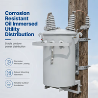 Transformateur monté sur poteau 50 kVA 6 kV à économie d'énergie, résistant à la corrosion IEC, léger, pour réseau de petites entreprises