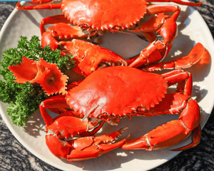 Mejor Precio Cangrejo de Lodo Congelado al Vapor, Mariscos Naturales para Importadores, Mayoristas y Distribuidores de Mariscos - Product Image 6