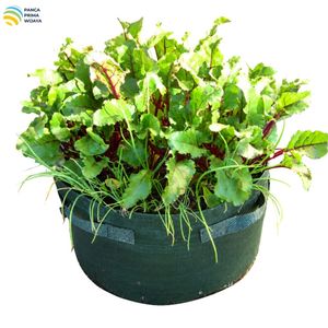 Sac de culture pour légumes de haute qualité 50L en HDPE tissé avec stabilisateur UV et 4 poignées pour le jardin domestique - Product Image 4