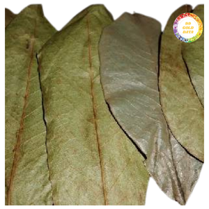 ใบฝรั่งแห้งธรรมชาติ จำหน่ายเป็นกิโลกรัม ใบเต็ม สะอาดและผ่านกระบวนการอย่างดี เหมาะสำหรับการสั่งซื้อจำนวนมาก - Product Image 6