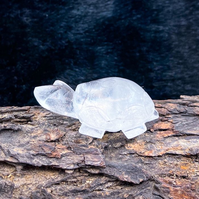 Natural Clear Quartz Tortoise