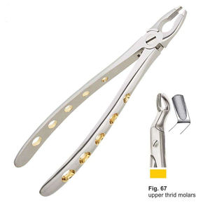 Forceps d'extraction dentaire, instrument dentaire réutilisable en acier inoxydable, modèle anglais pour les dents supérieures latérales et canines, Shuja Surgico - Product Image 2