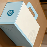 Caja de Embalaje Cosmético Portátil Minimalista de Cartón con Asa, Tamaño Personalizado, Impresión Digital, Reciclable, Certificación ISO9001, de Lujo