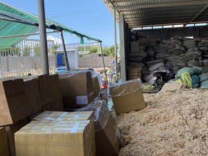 Musgo marino seco orgánico al por mayor para procesamiento de alimentos, precio competitivo de fábrica de Vietnam. - Product Image 3