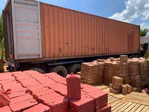 Blocs de fibre de coco du Vietnam à faible teneur en EC pour plantes, écologiques, pots en coco, culture hydroponique, bloc de 5 kg, cocopeat sec - Product Image 6
