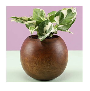 Home Garden Supplies Wood Planter <b>Pot</b> For Flower Green Planter Garden Use Wooden Planters Wooden <b>Rectangular</b> Planters - Product Image 4