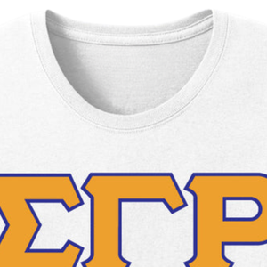 T-shirt brodé avec les lettres grecques Sigma Gamma Rho, vêtements de sororité personnalisés, t-shirt en coton, streetwear décontracté, mode universitaire, vente en gros - Product Image 2