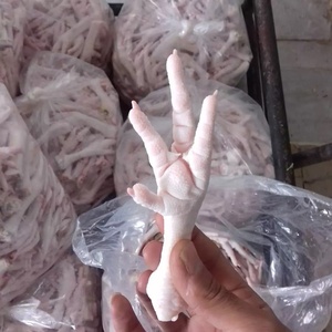 ตีนไก่แช่แข็งพรีเมียม ตีนไก่แปรรูป ฮาลาล ผลิตภัณฑ์เนื้อสัตว์ปีกแช่แข็ง สำหรับขายส่งและส่งออกระหว่างประเทศทั่วโลก - Product Image 1
