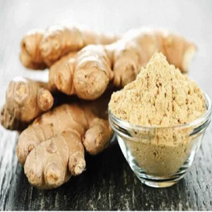 Poudre d'extrait de gingembre de qualité alimentaire, séchée par pulvérisation, en vrac 5kg, pour la cuisine et la santé, approvisionnement direct usine en gros - Product Image 1