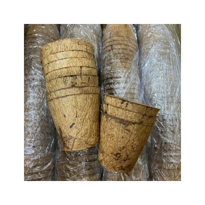 OFFRE LIMITÉE Pot en fibre de coco écologique et biodégradable pour la propagation des plantes et le soutien des racines, intérieur/extérieur - Product Image 3