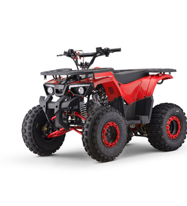 Nuevo Estilo de Cuatrimoto ATV de 110cc 125cc, Automática, de 4 Tiempos, con Transmisión por Cadena, con Certificación CE, en Venta - Product Image 3