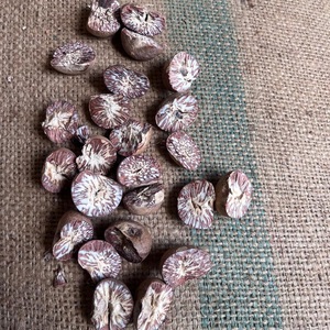 Nuez de Betel Cruda Seca Natural Pura de Primera Calidad, Paquete a Granel de 30 kg para Uso Alimentario a Bajo Precio - Product Image 6