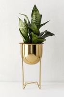 Pots et jardinières décoratifs en métal pour la maison et le jardin, nouveau design, taille moyenne et grande, nouveau produit, pots à fleurs en laiton