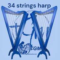 Harpe à leviers de grande taille à 36 cordes avec étui et clé de réglage, style vintage élégant, motif floral, instruments de musique, harpes