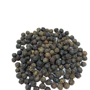 Pimienta negra al mejor precio de Vietnam 580/550/500 Gl Mc/Faq Especias y hierbas secas y fritas con envío y muestra gratis - Product Image 6