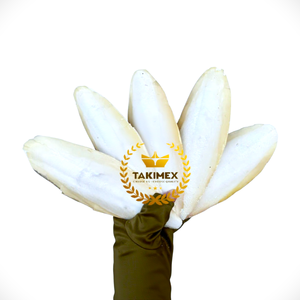 Hueso de Sepia con Alto Contenido de Calcio, Suplemento de Todos los Tamaños, 100% Natural, la Mejor Opción para sus Aves, Empaque OEM de Vietnam - Product Image 1