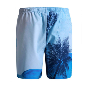 Dolphin print swim <b>trunks</b> Quick dry board shorts Casual swim <b>trunks</b> <b>men</b> Drawstring waist shorts - Product Image 2