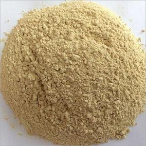 Poudre d'ail pelé de qualité supérieure, assaisonnement alimentaire déshydraté, qualité alimentaire, 25 kg, vente en gros, exportation Inde - Product Image 2